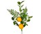 24" Artificial Mixed Greenery Lemon Spray - Fresh and Vibrant Accent-EC8265